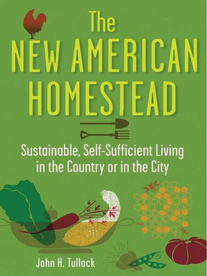 cover image of The New American Homestead